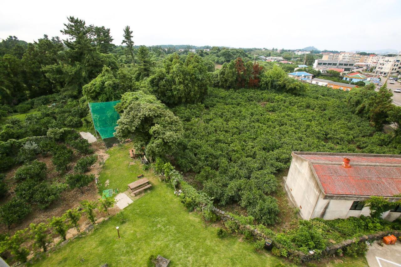 Haeneoul Villa Сеогвипо Екстериор снимка