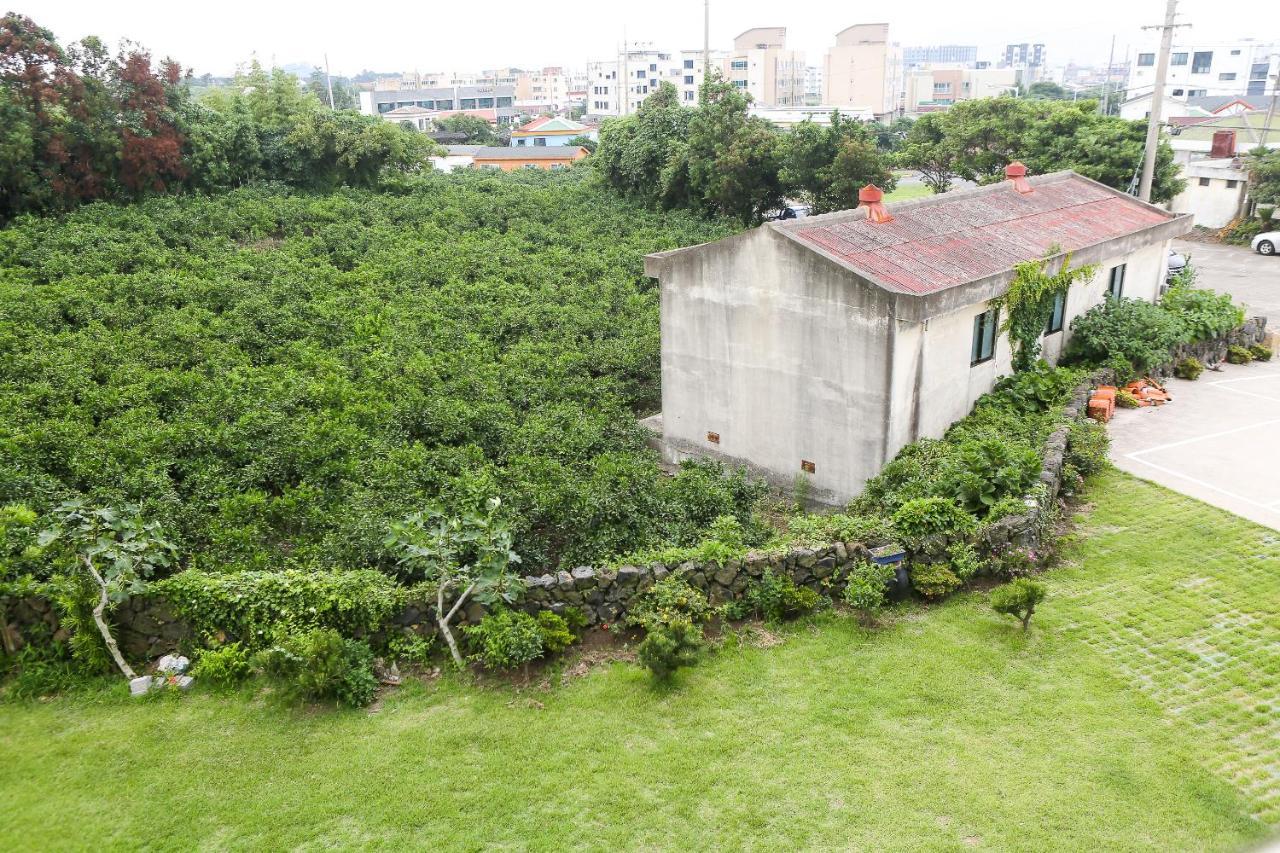 Haeneoul Villa Сеогвипо Екстериор снимка